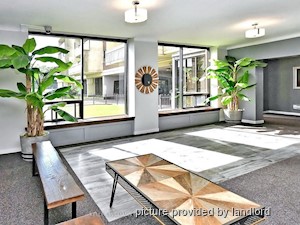 1 Bedroom apartment for rent in TORONTO