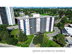 Image ViT 248223