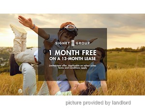 Image ViT 248238