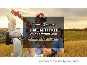 Image ViT 248259