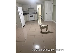 1 Bedroom apartment for rent in HAMILTON