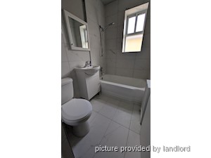 Image ViT 248274