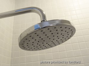 1 Bedroom apartment for rent in HAMILTON