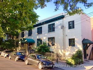 Image ViT 248331