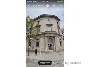 Image ViT 248336