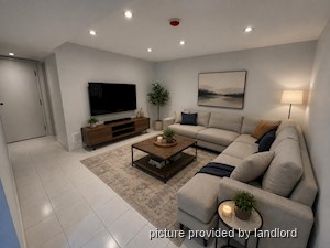 Image ViT 248357