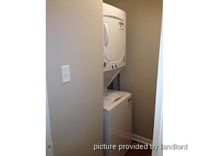 Image ViT 248409