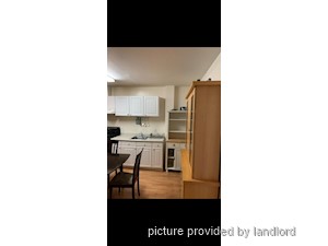 Image ViT 248427
