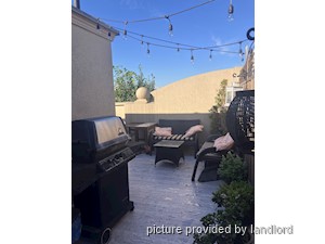 Image ViT 248467
