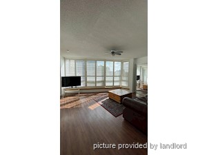 Image ViT 248471