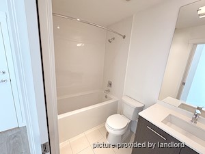 Image ViT 248488