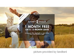 Image ViT 248605