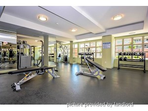 1 Bedroom apartment for rent in TORONTO
