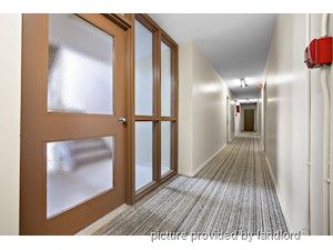1 Bedroom apartment for rent in Cambridge