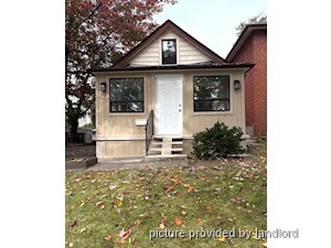 Image ViT 248668