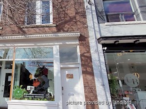 Image ViT 248672