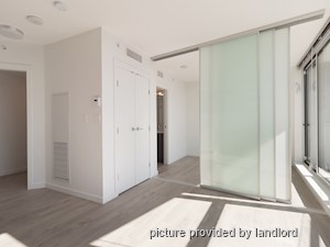 Image ViT 248676