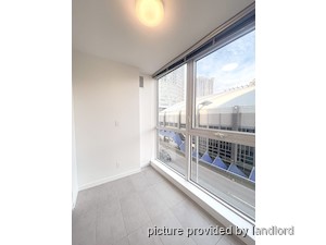 Image ViT 248678