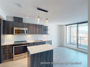 Image ViT 248681