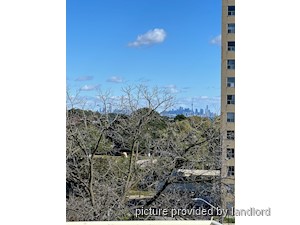 Image ViT 248695