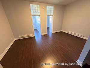 Image ViT 248696
