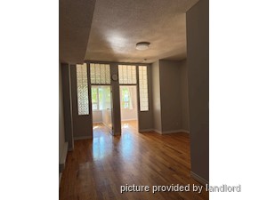 Image ViT 248713