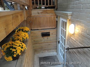 Image ViT 248734
