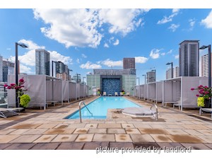 1 Bedroom apartment for rent in TORONTO