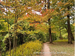 2 Bedroom apartment for rent in EAST YORK 