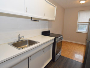 1 Bedroom apartment for rent in TORONTO    