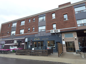 1 Bedroom apartment for rent in TORONTO      