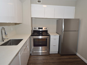 2 Bedroom apartment for rent in TORONTO   