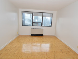 1 Bedroom apartment for rent in TORONTO   