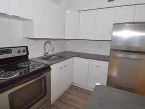 1 Bedroom apartment for rent in TORONTO   