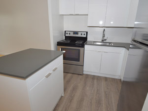 1 Bedroom apartment for rent in TORONTO   