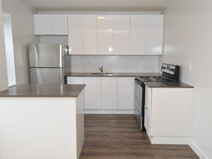 1 Bedroom apartment for rent in TORONTO  