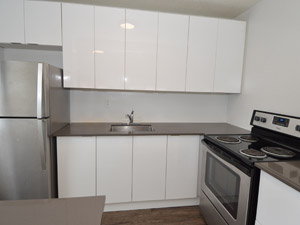 1 Bedroom apartment for rent in TORONTO  