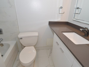 1 Bedroom apartment for rent in TORONTO  