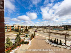 1 Bedroom apartment for rent in Brampton