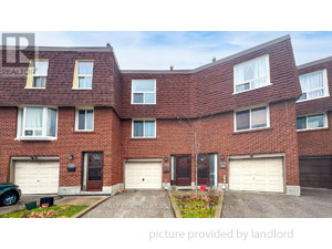 3+ Bedroom apartment for rent in Scarborough    