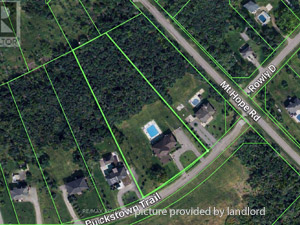 3+ Bedroom apartment for rent in Caledon    