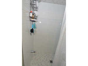 1 Bedroom apartment for rent in NORTH YORK