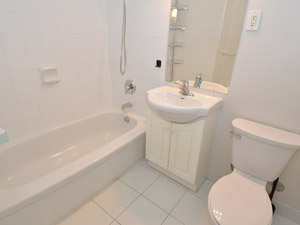 1 Bedroom apartment for rent in RICHMOND HILL 