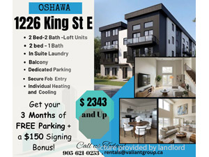 Image ViT 250211