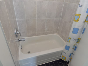 1 Bedroom apartment for rent in TORONTO  