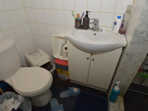Bachelor apartment for rent in TORONTO  