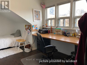Image ViT 250237