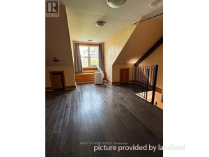 Image ViT 250240