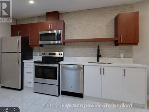 Image ViT 250249