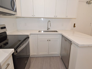 1 Bedroom apartment for rent in TORONTO  